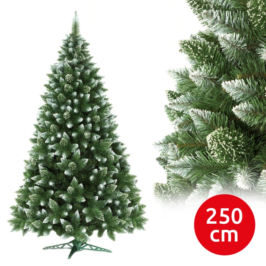Božično drevo 250 cm bor
