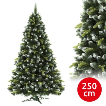 Božično drevo 250 cm, bor