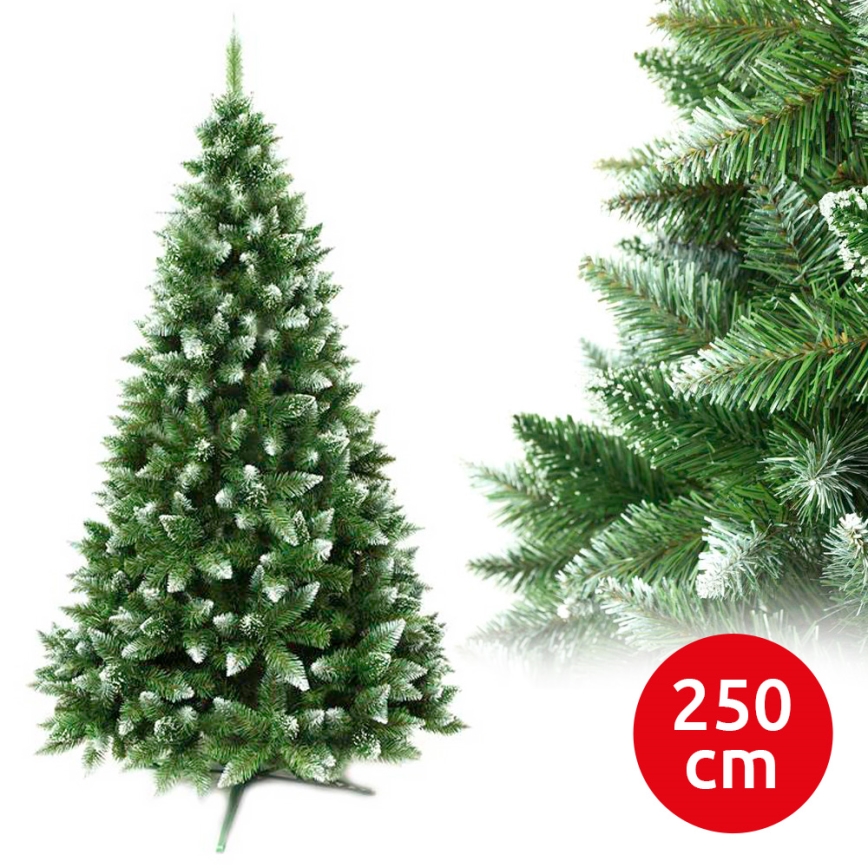 Božično drevo 250 cm jelka