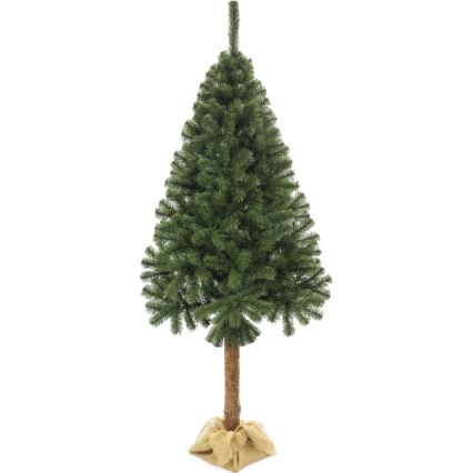 Božično drevo na stojalu 160 cm jelka