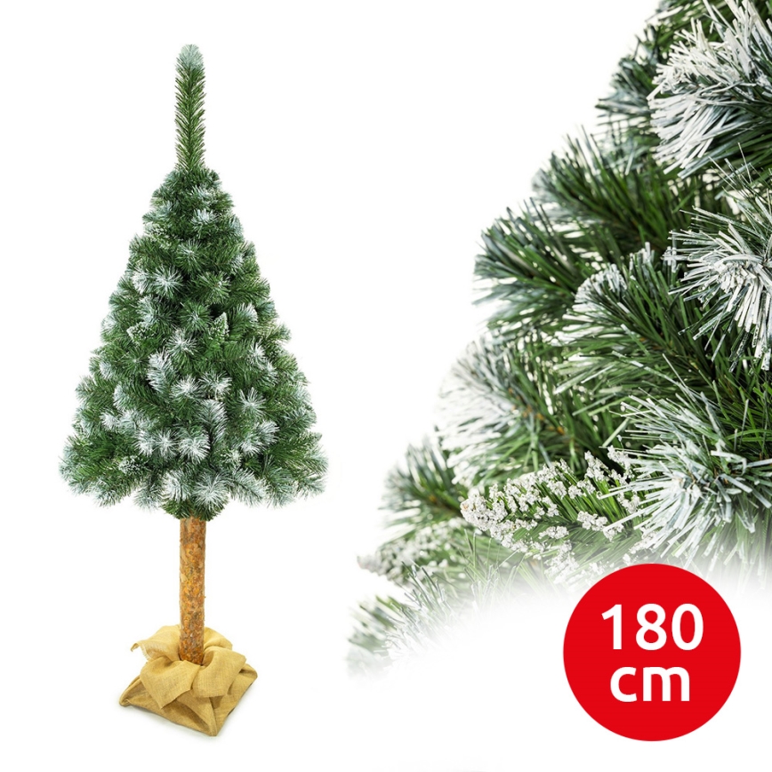 Božično drevo na stojalu 180 cm bor
