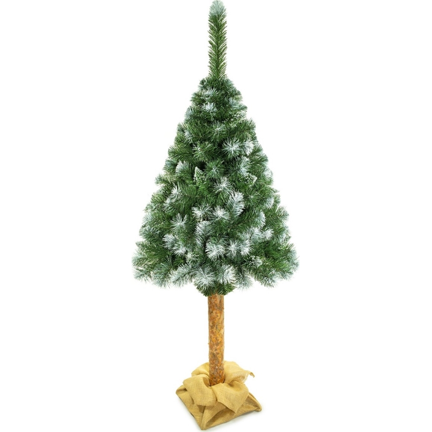 Božično drevo na stojalu 180 cm bor