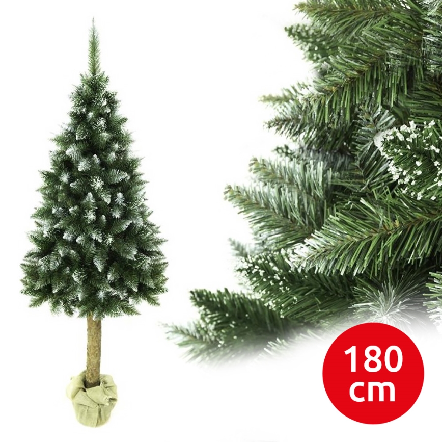 Božično drevo na stojalu 180 cm jelka