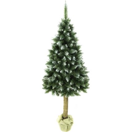 Božično drevo na stojalu 180 cm jelka