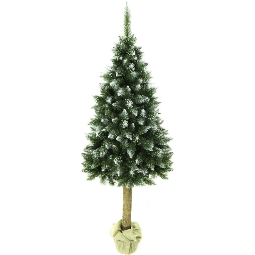 Božično drevo na stojalu 180 cm jelka