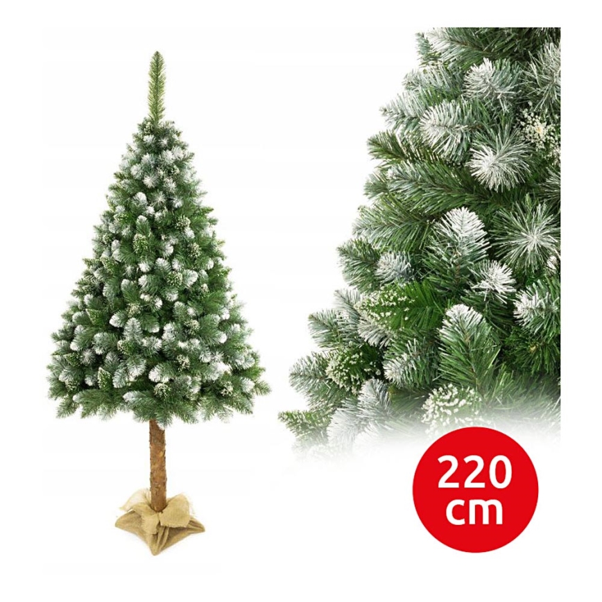 Božično drevo na stojalu 220 cm bor
