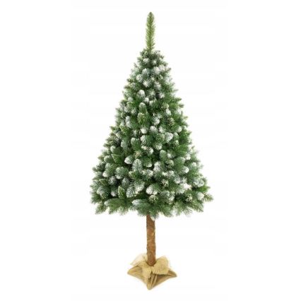Božično drevo na stojalu 220 cm bor