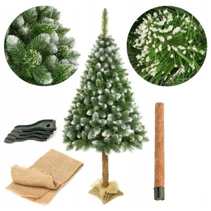 Božično drevo na stojalu 220 cm bor