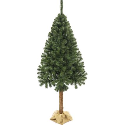 Božično drevo na stojalu 220 cm jelka