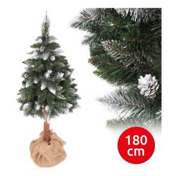 Božično drevo PIN 180 cm bor