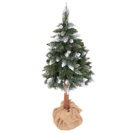 Božično drevo PIN 180 cm bor