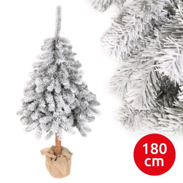 Božično drevo PIN 180 cm jelka