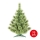 Božično drevo XMAS TREES 70 cm bor