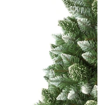 Božično drevo z deblom 180 cm bor