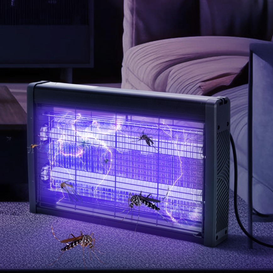 Brilagi - Električni lapač insektov 2xUV/10W/230V 60 m2 črna