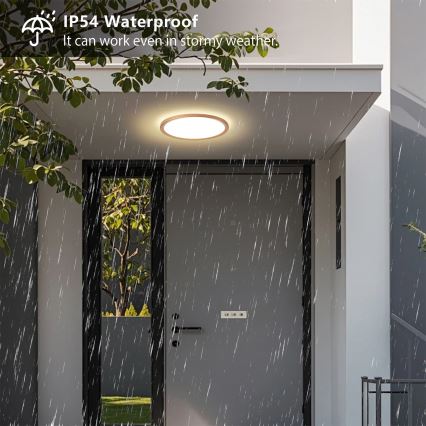 Brilagi - Kopalniška LED stropna svetilka ULTRA SLIM LED/18W/230V premer 30 cm rožnato zlato IP54