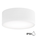 Brilagi - Kopalniška stropna svetilka CLARE 1xE27/24W/230V pr. 20 cm IP54 bela
