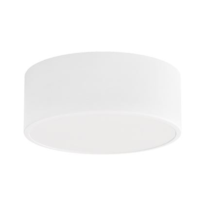 Brilagi - Kopalniška stropna svetilka CLARE 1xE27/24W/230V pr. 20 cm IP54 bela