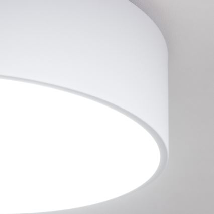Brilagi - Kopalniška stropna svetilka POOL, 3×E27 (maks. 15 W), 230 V, Ø 40 cm, IP54, bela