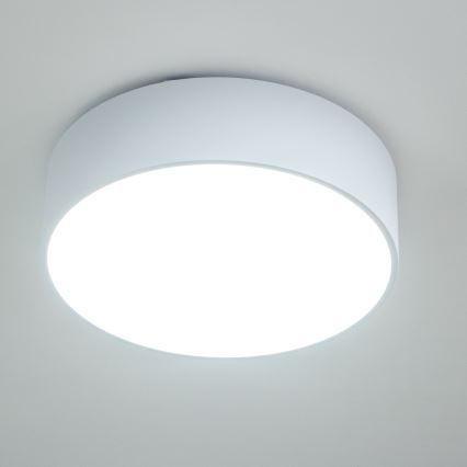 Brilagi - Kopalniška stropna svetilka POOL, 3×E27 (maks. 15 W), 230 V, Ø 40 cm, IP54, bela