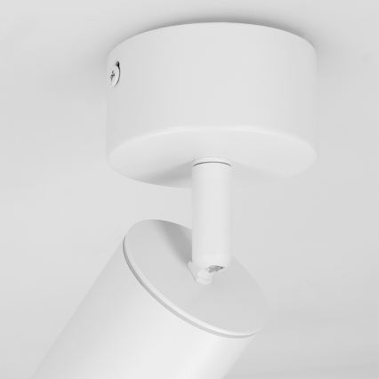 Brilagi - Kopalniški reflektor SELE 1xGU10/30W/230V IP44 bela