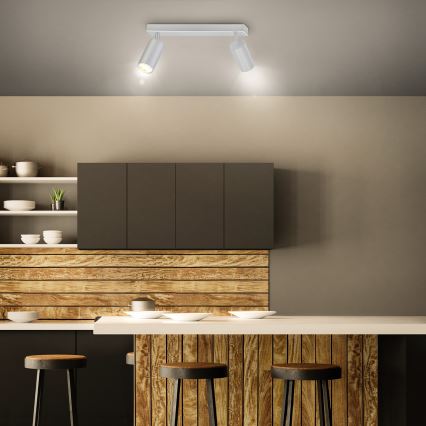 Brilagi - Kopalniški reflektor SELE 2xGU10/30W/230V IP44 srebrna