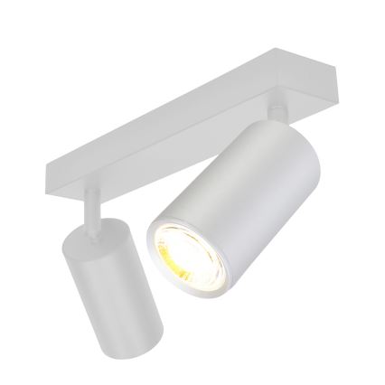 Brilagi - Kopalniški reflektor SELE 2xGU10/30W/230V IP44 srebrna