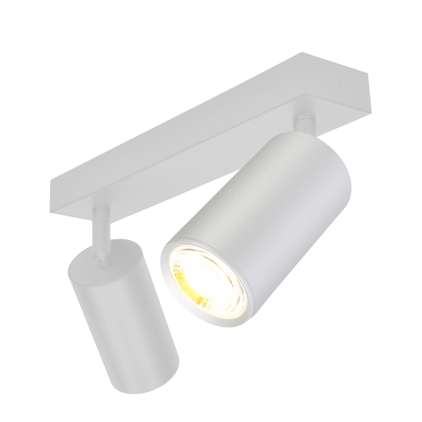 Brilagi - Kopalniški reflektor SELE 2xGU10/30W/230V IP44 srebrna