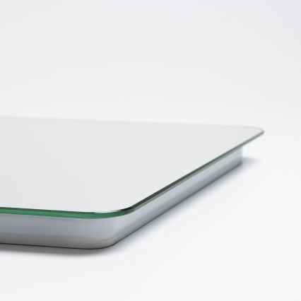 Brilagi - LED kopalniško ogrevalno ogledalo DIANA LED/13W/230V 40x60 cm IP44 CRI 90 zatemnljivo + CCT