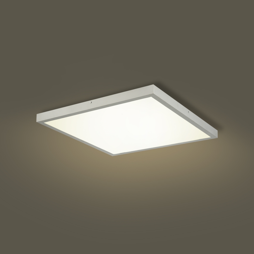 Brilagi - LED stropno svetilo za kopalnico FRAME LED/50W/230V 3000/4000/6000K 60x60 cm IP44 srebrna