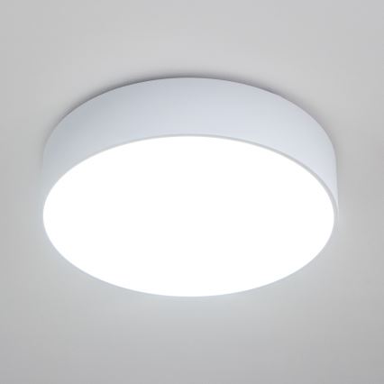 Brilagi - Kopalniško stropno svetilo POOL 4xE27/15W/230V, premer 50 cm, IP54, belo