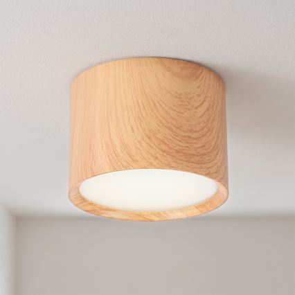 BRILAGI - Kopalniško točkovno svetilo SMOOTH 1xGX53/15W/230V 60x82 mm dekor hrasta IP54
