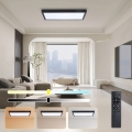 Brilagi - LED Dimmable kopalniška stropna svetilka FRAME SMART LED/30W/230V 30x60 cm 3000-6000K črna + daljinski upravljalnik