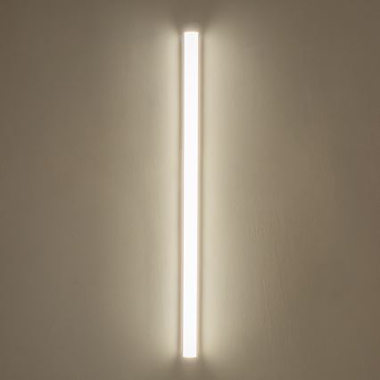 Brilagi - LED fluorescenčno svetilo LUMA LED/40W/230V 150 cm