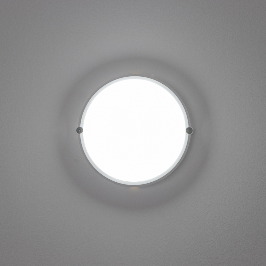 Brilagi - LED Industrijska stropna svetilka SIMA LED/12W/230V IP65 bela