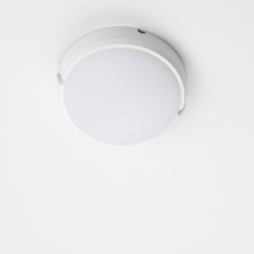 Brilagi - LED Industrijska stropna svetilka SIMA LED/12W/230V IP65 bela