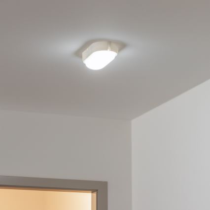 Brilagi - LED Industrijska stropna svetilka SIMA LED/12W/230V IP65 bela