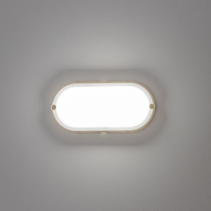 Brilagi - LED Industrijska stropna svetilka SIMA LED/12W/230V IP65 bela