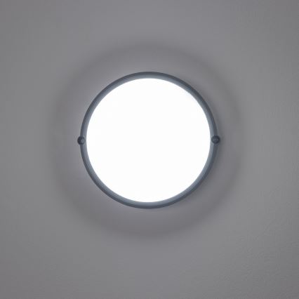 Brilagi - LED Industrijska stropna svetilka SIMA LED/12W/230V IP65 črna