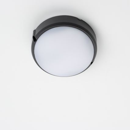 Brilagi - LED Industrijska stropna svetilka SIMA LED/12W/230V IP65 črna
