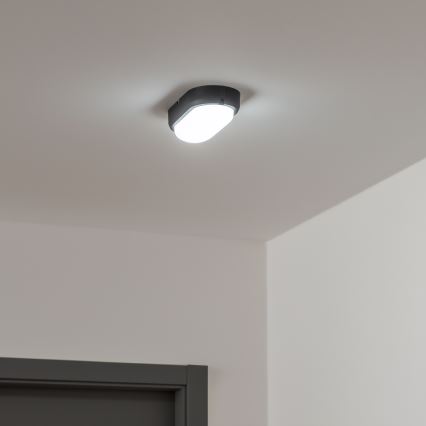 Brilagi - LED Industrijska stropna svetilka SIMA LED/12W/230V IP65 črna