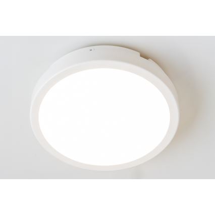 Brilagi - LED Kopalniška stropna svetilka PERA LED/18W/230V pr. 22 cm IP65 bela