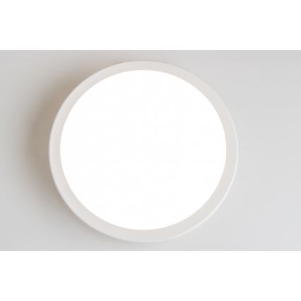 Brilagi - LED Kopalniška stropna svetilka PERA LED/18W/230V pr. 22 cm IP65 bela