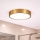 Brilagi - LED kopalniška stropna svetilka POOL LED/24W/230V 3000/4000/5500K Ø 30 cm IP54 bronasta