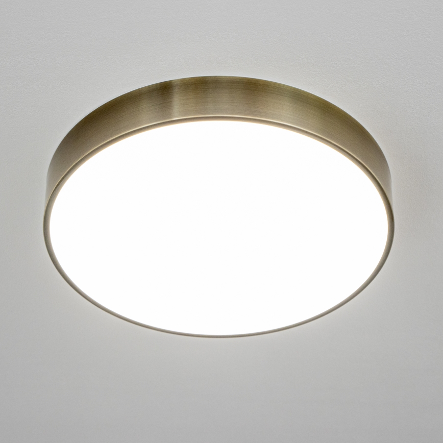 Brilagi - LED stropna svetilka za kopalnico POOL LED/36W/230V 3000/4000/5500K premer 40 cm IP54 medenina