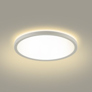Brilagi - LED Kopalniška stropna svetilka ULTRA SLIM LED/12W/230V pr. 22,5 cm bela IP54