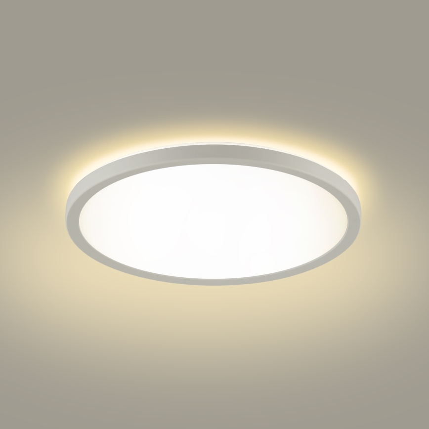 Brilagi - LED Kopalniška stropna svetilka ULTRA SLIM LED/12W/230V pr. 22,5 cm bela IP54