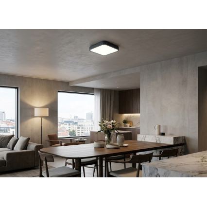 BRILAGI - LED kopalniško stropno svetilo ZENNA LED/18W/230V 28,5x28,5 cm IP44 antracit