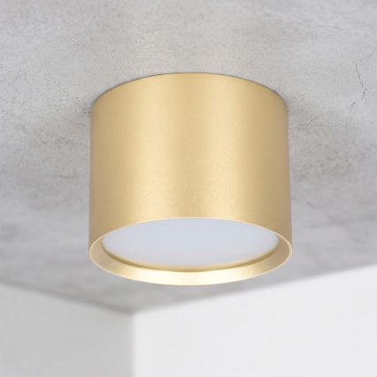 BRILAGI - LED kopalniško točkovno svetilo SMOOTH 1xGX53/15W/230V 60x82 mm zlate barve IP54