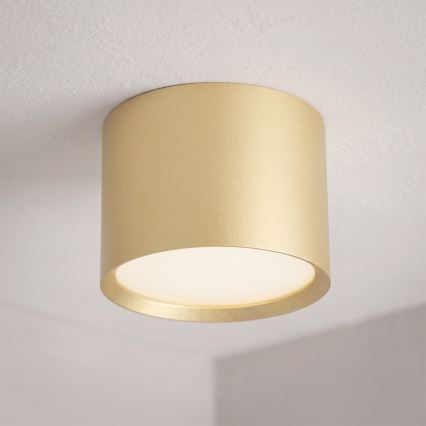 BRILAGI - LED kopalniško točkovno svetilo SMOOTH 1xGX53/15W/230V 60x82 mm zlate barve IP54